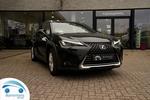 Lexus UX 250h